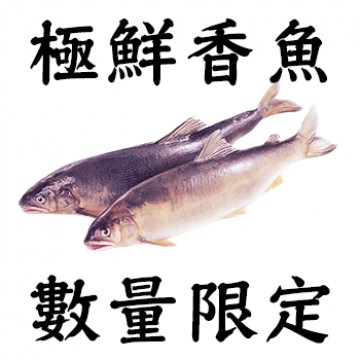 宜蘭帶卵母香魚組