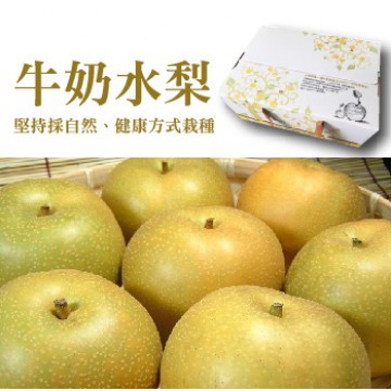 新興牛奶水梨 新上市