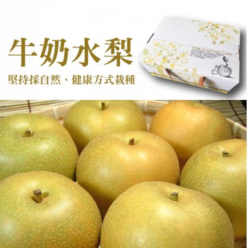 新興牛奶水梨 新上市