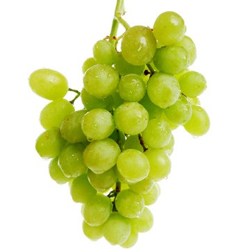 克勞蒂頂級綠無籽葡萄