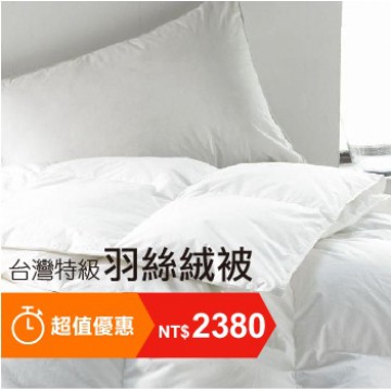 台灣特級羽絲絨被(免運)