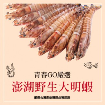 青春GO嚴選 澎湖野生大明蝦